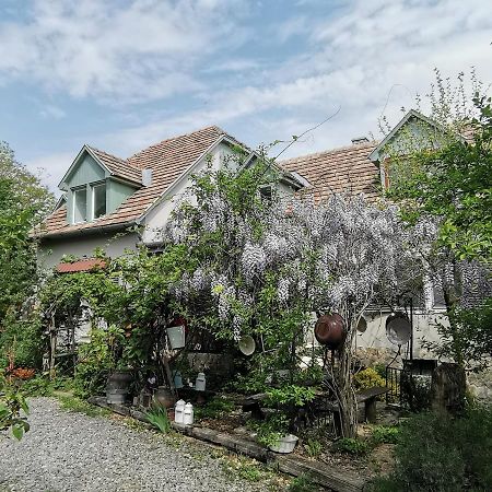 Forest View Studio Apartment Kaposhomok Екстериор снимка