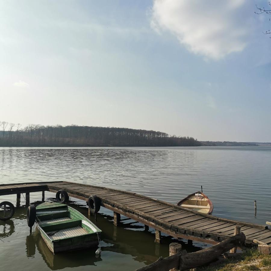 Forest View Studio Apartment Kaposhomok Екстериор снимка