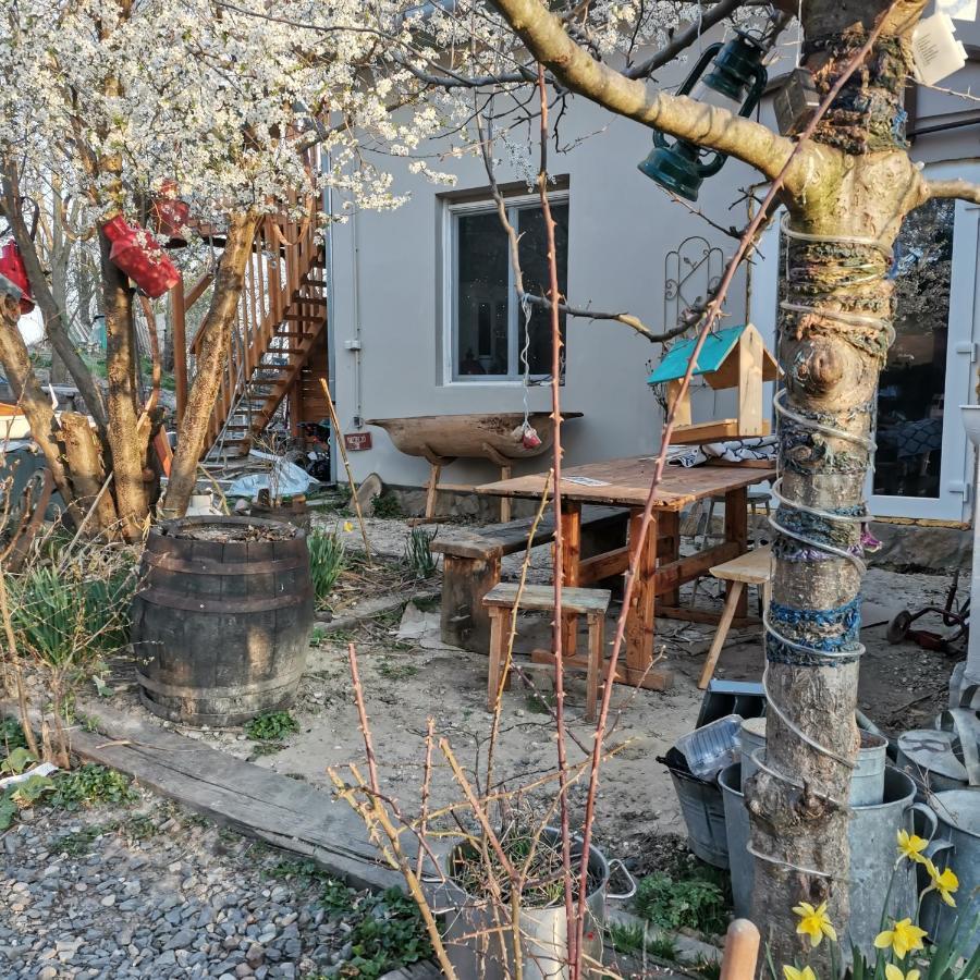 Forest View Studio Apartment Kaposhomok Екстериор снимка