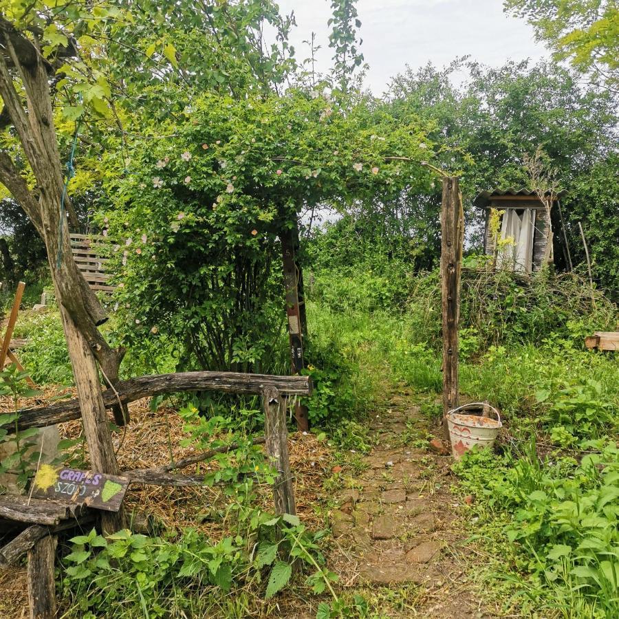 Forest View Studio Apartment Kaposhomok Екстериор снимка